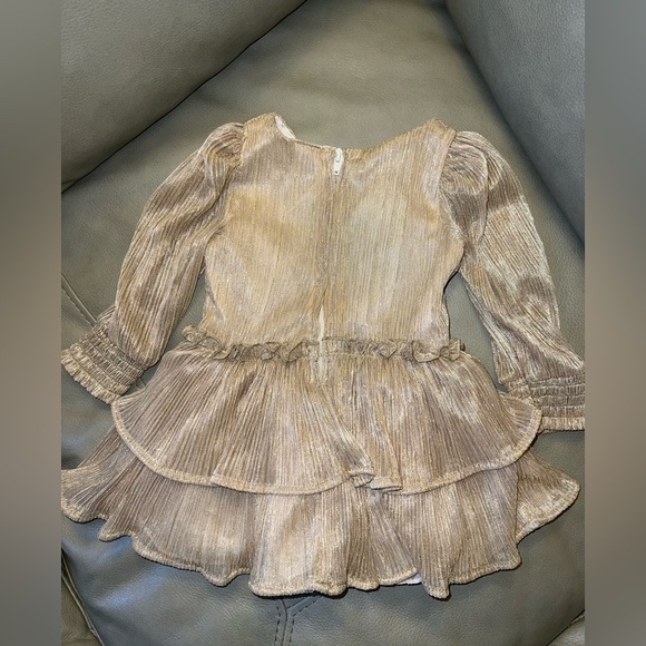 Wonder Nation Girls Shimmery Gold Pleated Long Sleeve Dress 6-9 mos - Picture 2 of 8